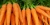 Import carrots from Algeria