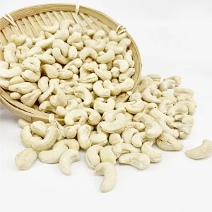 Export Quality Cashew Nuts Roasted Salted and Spicy Flavors Ready to Eat 12-24 Months Shelf Life