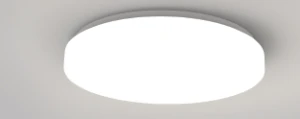led ceiling/pendant lights turbot-moon cover