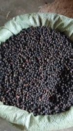 BLACK PEPPERCORNS