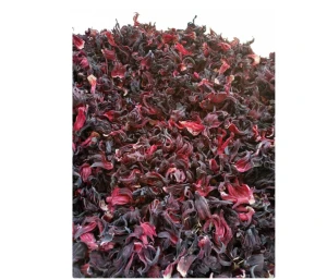 Hot Sale 100% Natural Organic Pure Hibiscus Flower Extract Miniature Hibiscus