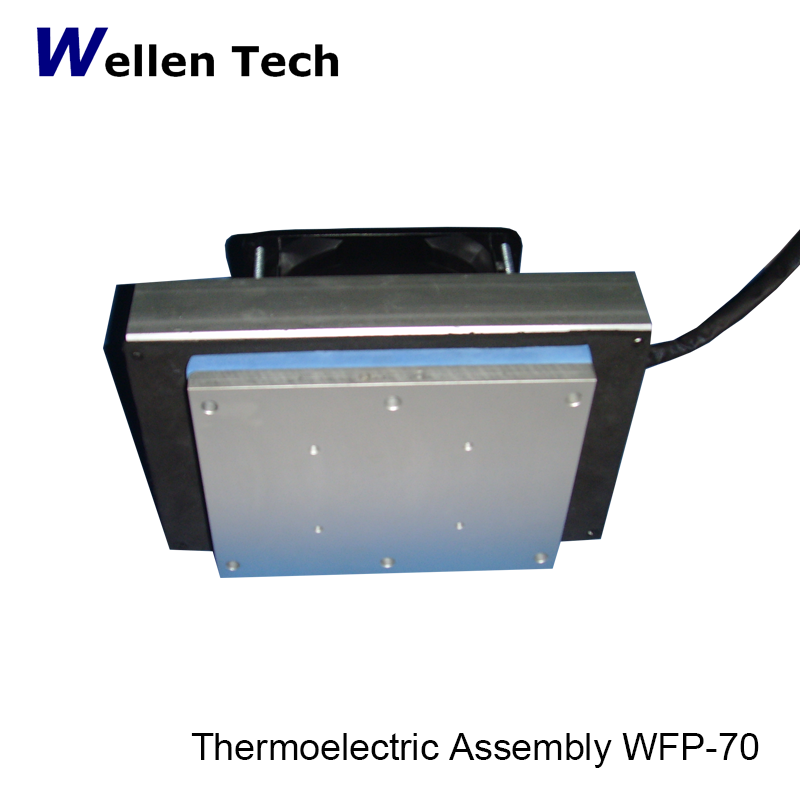 Buy Thermoelectric Cooler Assembly Air To Plate from Wellen technology Co.Ltd., China