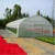 Import Tunnel Plastic PE Flim Greenhouse For Vegetables  Flower from China