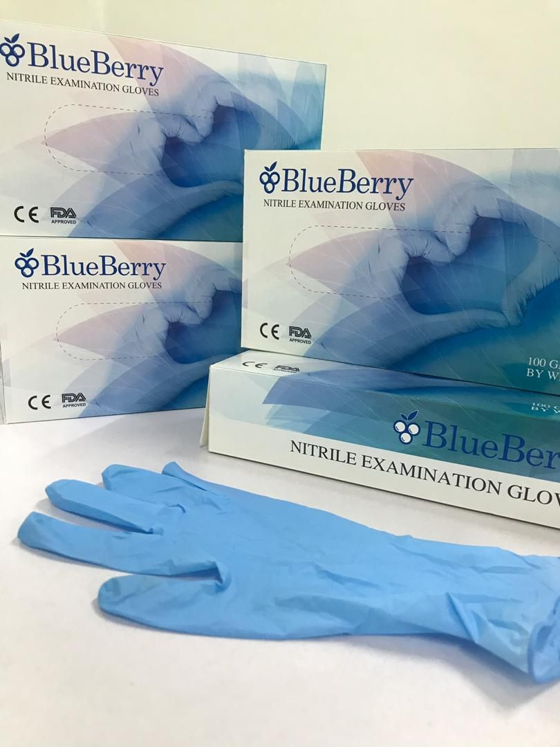 Import (blueberry) Nitrile Gloves from Malaysia | Find FOB ...