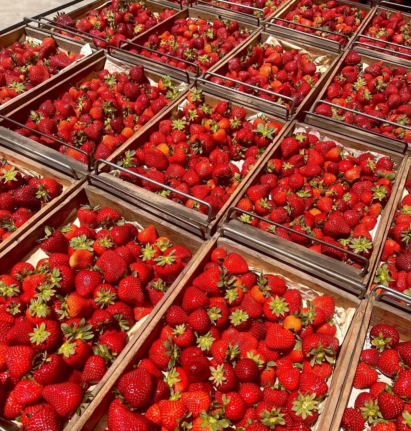 Buy Fruit Fresh Strawberry Wholesale Fresh Seedless Strawberries Food ...