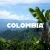 Import Green 100% Colombian Coffee Beans from Colombia