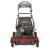 Import Toro TimeMaster (30") 223cc Personal Pace Self-Propelled Lawn Mower from Singapore