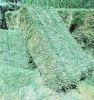 Bermuda Grass Hay