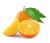 Import Fresh Orange, Navel orange from China