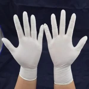 Cleaning Glove for Family Use, Powder Free Gloves, Vinyl Gloves Latex Free,