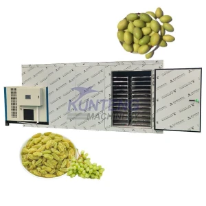 Food Dryer Vegetable Fruit Drying Oven Grape Olive Fruit Drying Machine