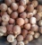 Import Betel Nuts / BETEL NUT - ARECA NUTS / Quality whole and Split Betel Nut from Tanzania