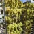 Import Food Dryer Vegetable Fruit Drying Oven Grape Olive Fruit Drying Machine from China