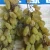 Import Food Dryer Vegetable Fruit Drying Oven Grape Olive Fruit Drying Machine from China