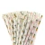 Import Disposable Paper Straws Chevron Paper Straw Party Supplies Straw Biodegradable Diagonal Cut Drinking from China