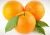 Import Fresh Orange, Navel orange from China