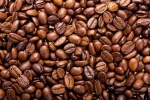 Arabica Bugisu AA Coffee bean