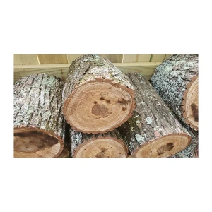 Bulk oak firewood ready for shipment to distributors and industrial users