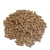 Import Biomass Wood Pellet from Netherlands
