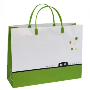 PRINTED PAPER BAG WITH PLASTIC HANDLE