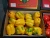 Import Capsicums, Bell pepper from Egypt
