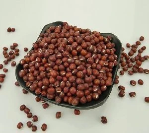 High Quality Dried Azuki Bean
