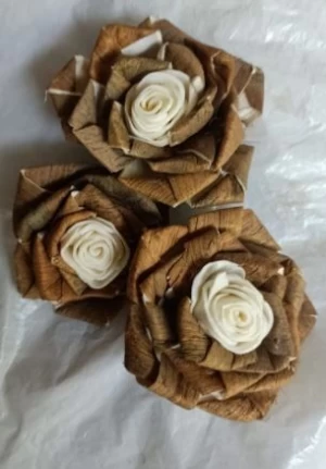 Dried Sola Flower, Plant & Accessories
