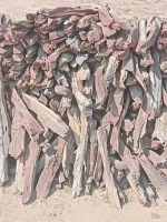 Camelthorn Firewood