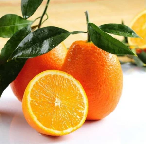 Fresh Orange, Navel orange