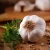 Import 100% Natural Aged Garlic Extract Bulk from China