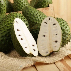 100% NATURAL FRESH SOURSOP FRUIT WITH GOOD QUALITY FOR EXPORT