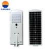 10W/20W/30W/50W/60W/80W/100W led solar street light