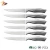 Import 14PCS HOLLOW HANDLE STAINLESS STEEL KITCHEN KNIFE SET WITH WOODEN BLOCK KNIFE SET from China