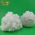 Import 15Dx64MM HCS /Hollow conjugated silicon polyester staple fiber for filling pillows from China