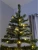 Import 180CM 556T Prelit Artificial Sparse PVC material Christmas tree with 200L warm White LEDs hinged structure Europe USA UK Adapter from China