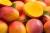 Import 2018 Fresh Mango / Freeze Dried Mango / Canned Mango from South Africa