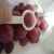 2018 new corp wholesale Best fresh Grapes China red grapes