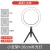 Import 2020 Best-selling Factory direct supply dimmable led photography ring light good quality tripods selfie stick ring fill light from China