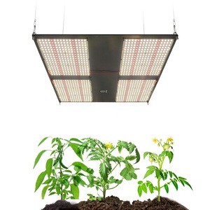 2020 Meijiu Best Epistar 660Nm Lm301H Osram LED Grow Light, Best Selling Led Grow Light Veg Flower Full Spectrum 3500K Grow Lamp