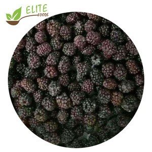 2020 New Crop Frozen Fruits A Grade IQF frozen blackberry Low Price