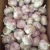 Import 2020 Shandong Fresh Garlic Normal/Pure White 4.5/5.0/5.5/6.0/6.5cm Up from China