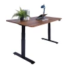 2021 High-End Design Dual Monitor Adjustable Office Desk Standing Desk Height Adjustable Stand Up Electric Adjustable Desk