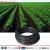 Import 2.5L/H 16mm 1.0mm PE drip irrigation el tubo de riego por goteo from China