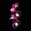 5 heads solar phalaenopsi light Outdoor solar flower light 5led butterfly orchid solar lawn light for garden decorative