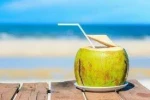 800G 5.5Brix content Fresh Fruit Green Young CUTTING Coconut