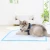 Import Absorbent Dog Doggie Pet Puppy Pee Training Pads from China