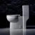 American Standard Ceramic Washdown Two Piece S-Trap Toilets