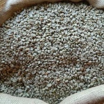 Arabica coffee beans ( 17+ screen size)
