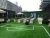 Import Artificial Grass Mat / Artificial Turf 15-60mm from China