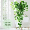 Artificial plant decoration artificial flower vine vine green living room green leaf plastic green radish wall hanging